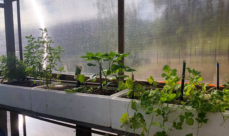 Mars Research Station - Habitat Marte