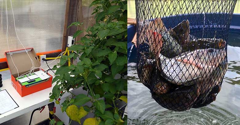 Mars Research Station - Habitat Marte