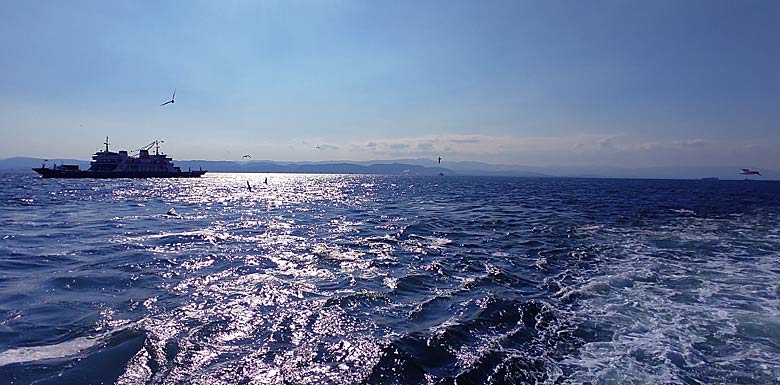 Mars-Tokmak-77-1-Ussu-27