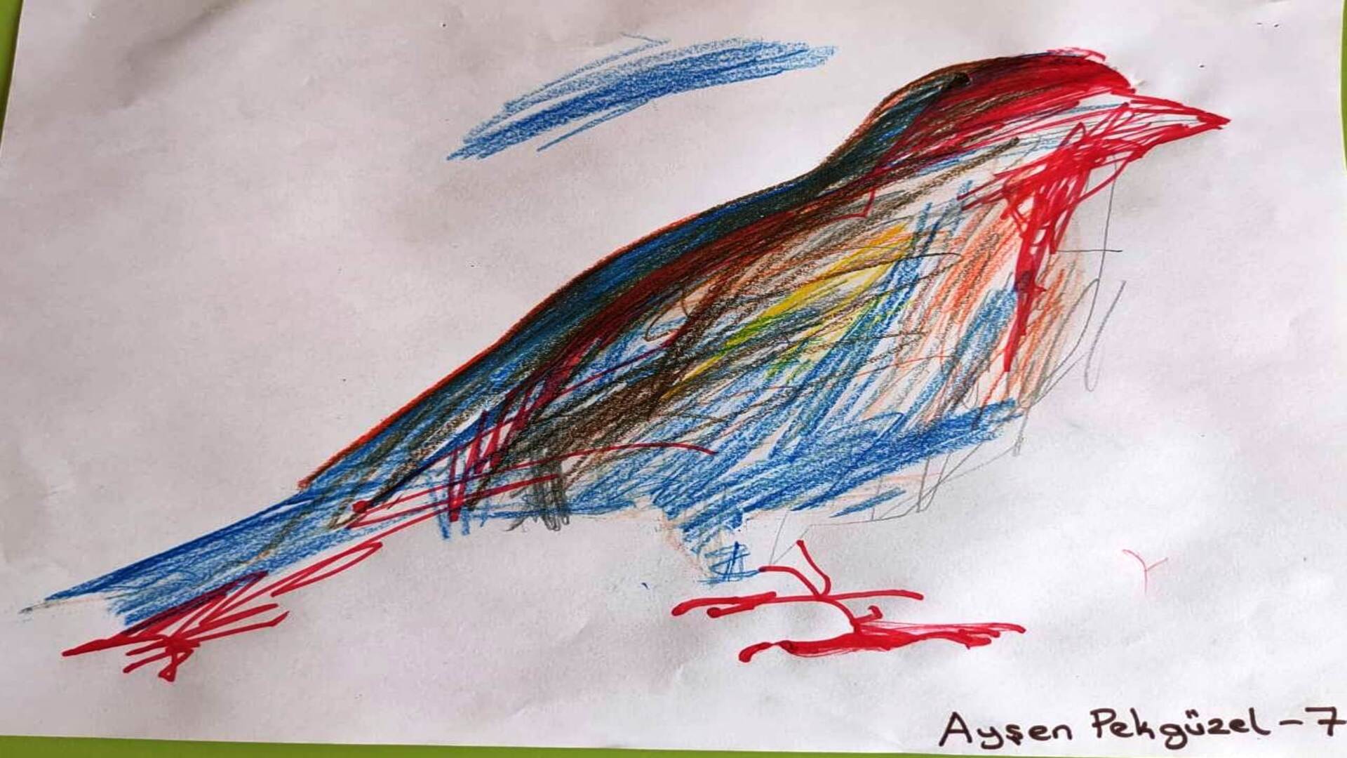 Aysen_Pekguzel