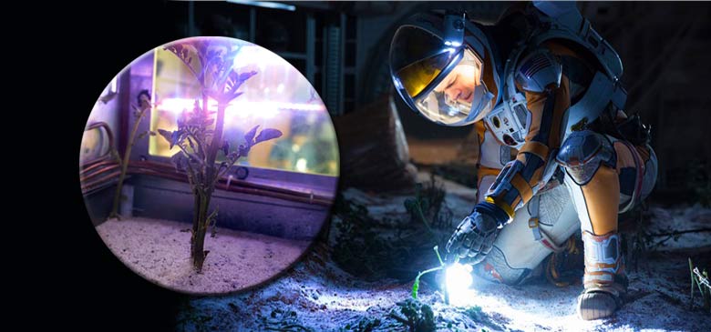 Mars’ta Tarım Yapmak, Zor Ama İmkânsız Değil!