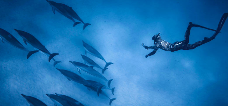 Importance of Sound for Underwater Life