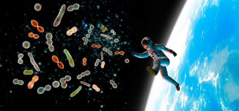 Microbiome Studies: The Future Genesis of Life on Space